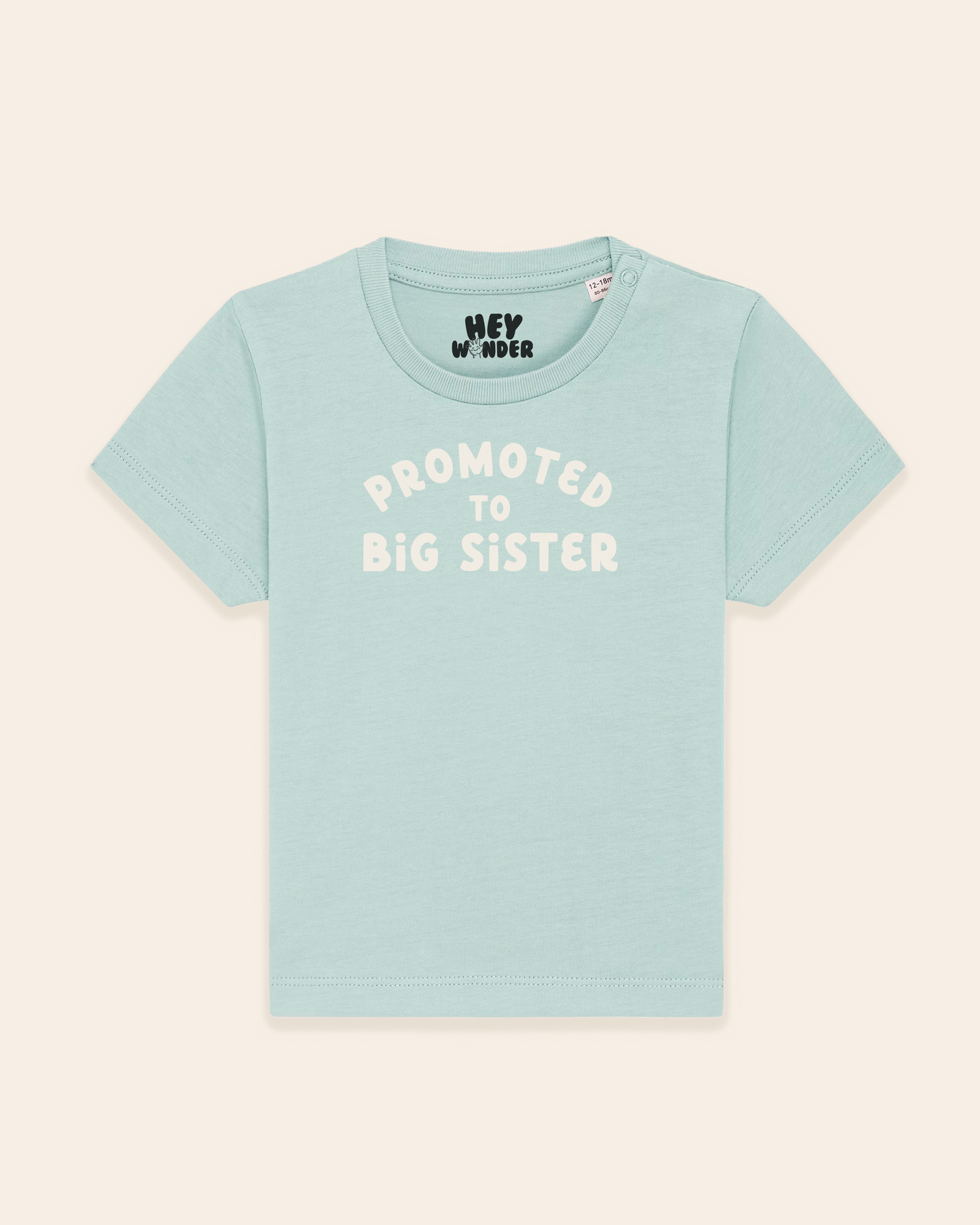 Baby T Shirt | Promoted To Big Sister