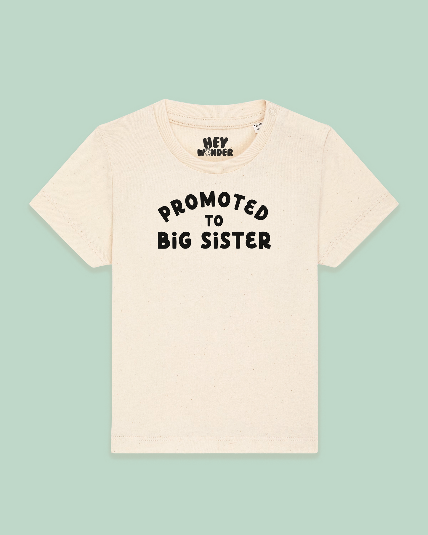 Baby T Shirt | Promoted To Big Sister