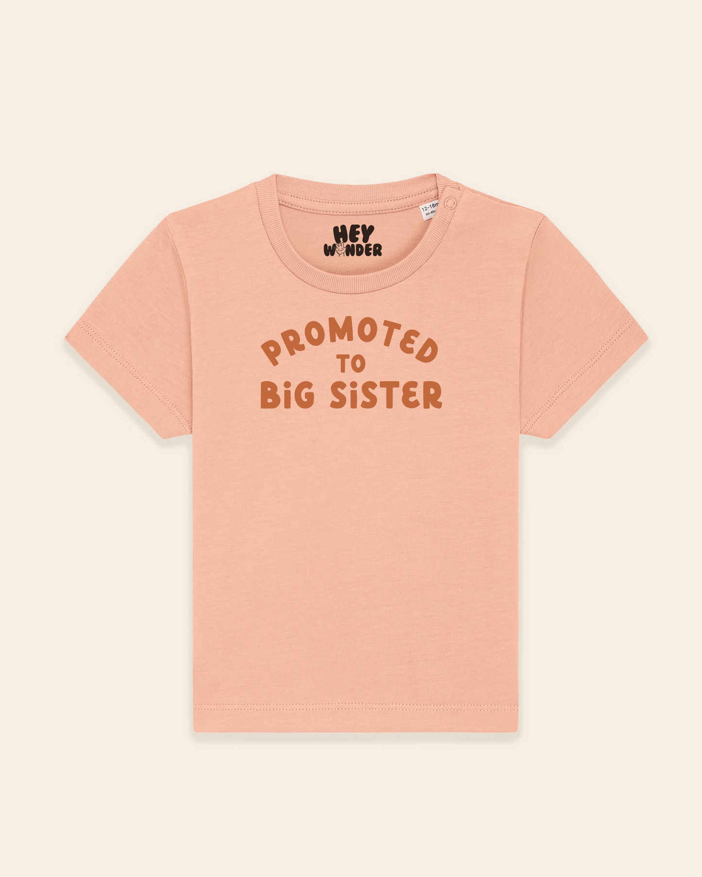 Baby T Shirt | Promoted To Big Sister