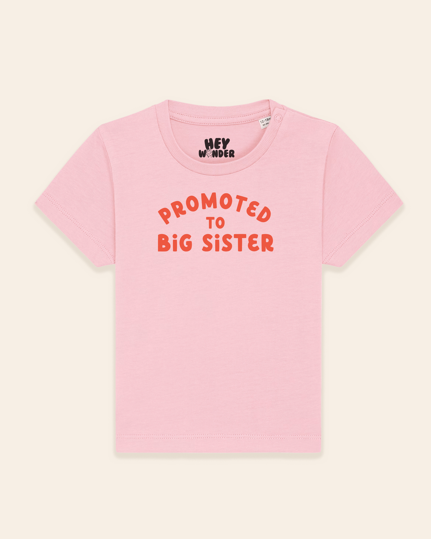 Baby T Shirt | Promoted To Big Sister