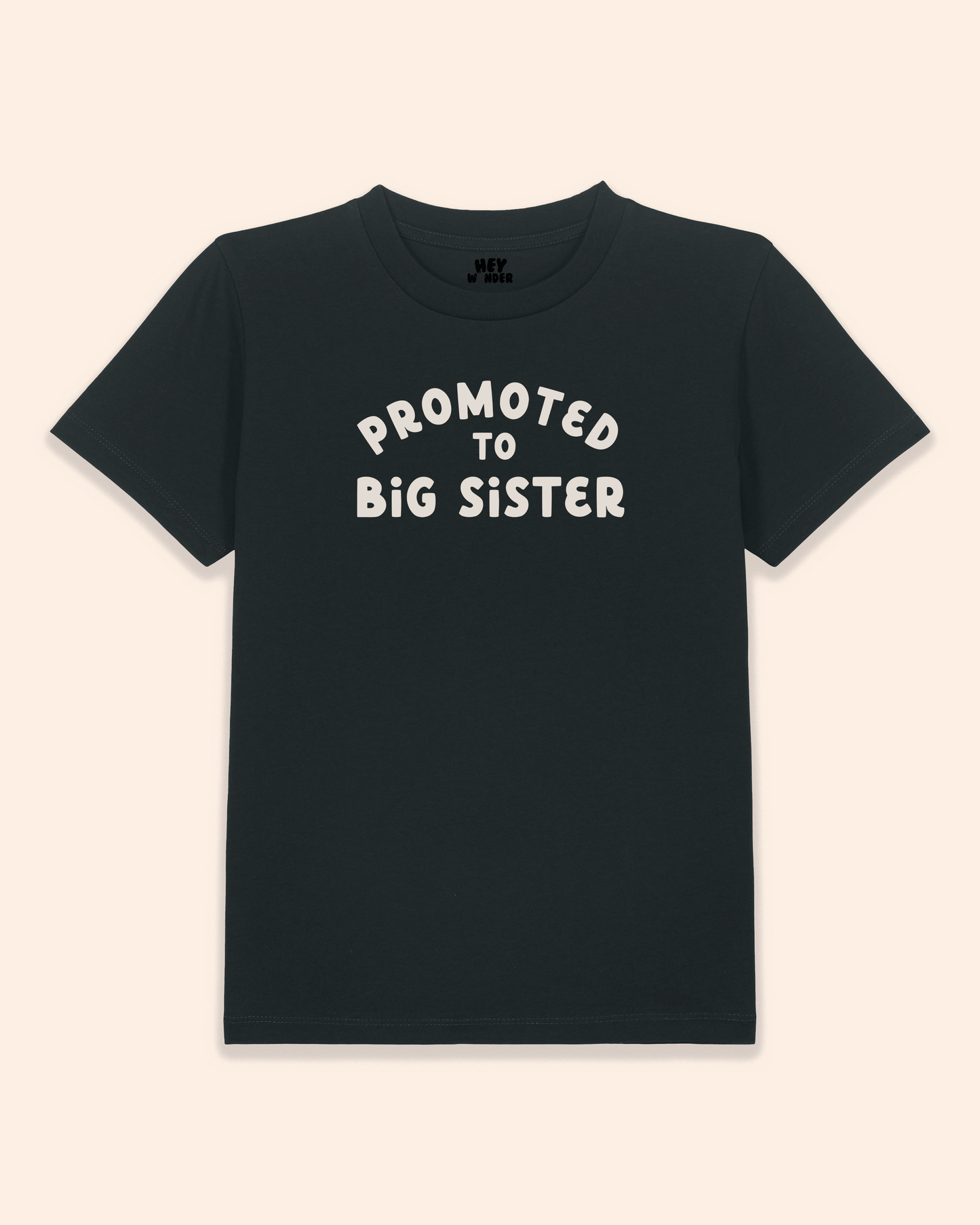 Kids T Shirt | Promoted To Big Sister