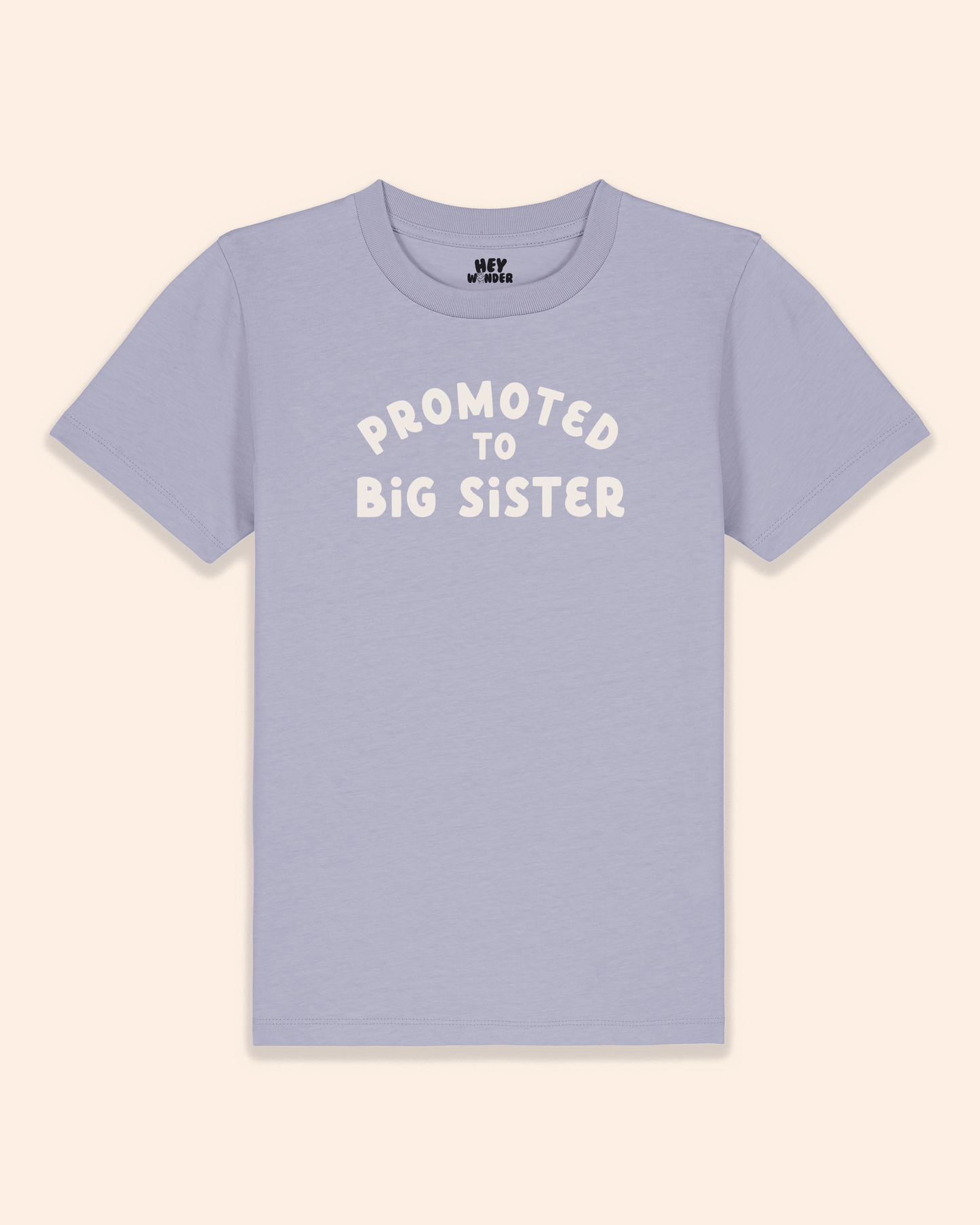 Kids T Shirt | Promoted To Big Sister