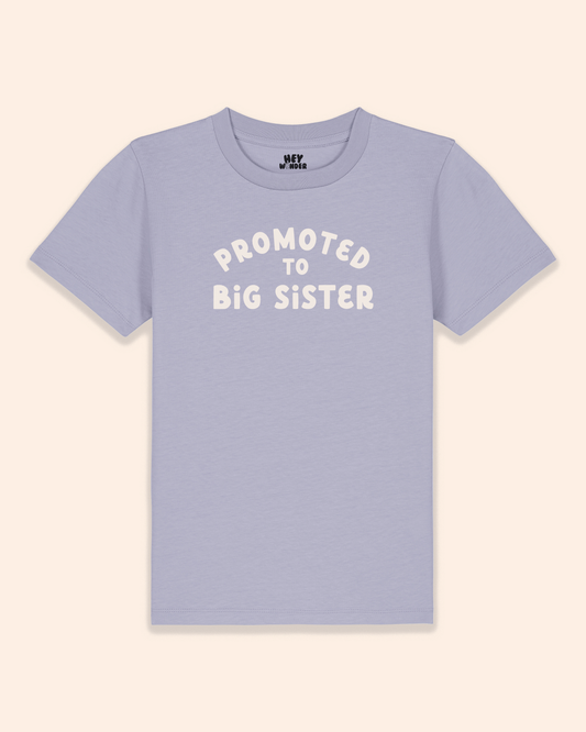 Kids T Shirt | Promoted To Big Sister