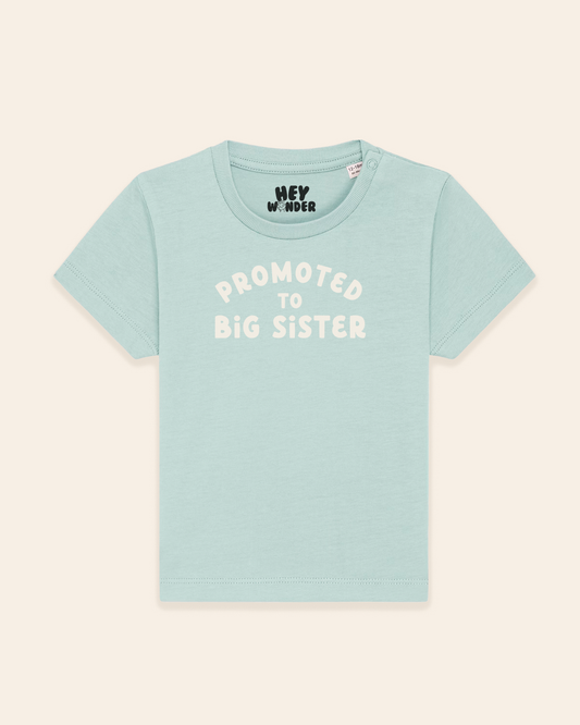 Baby T Shirt | Promoted To Big Sister