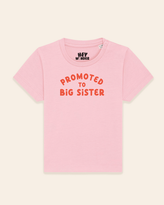 Baby T Shirt | Promoted To Big Sister